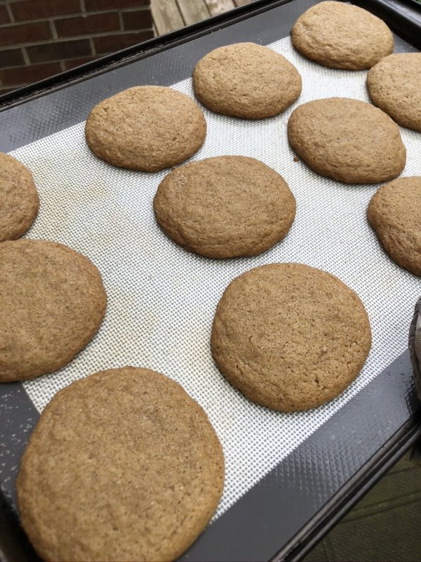 69B969EB-FA27-4F8B-A30C-EB9BCD6A7EDD_1_105_c