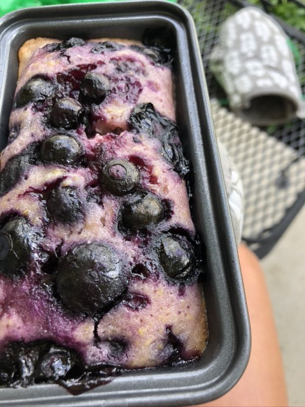 lemon-blueberry-bread